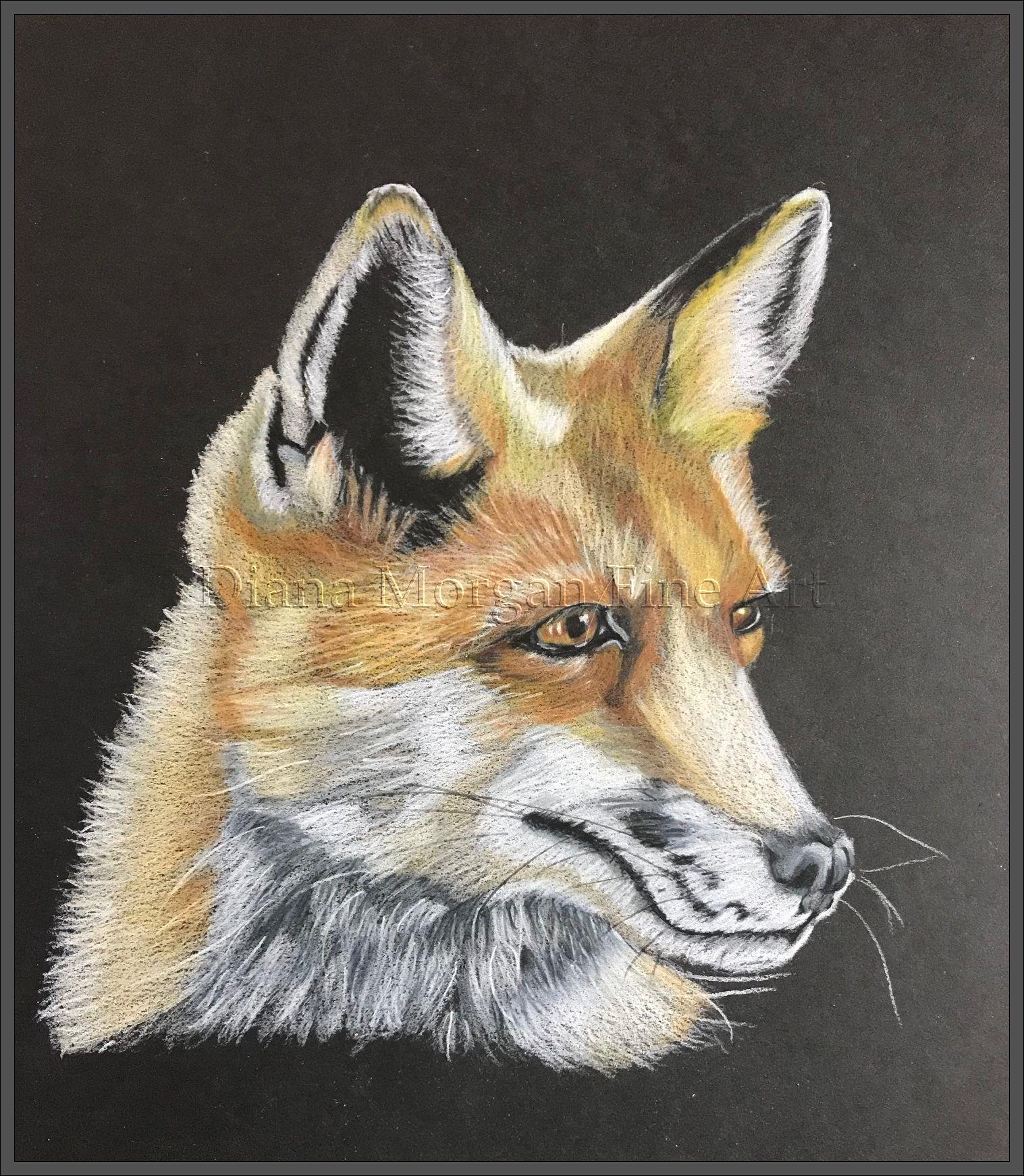 Wiley Fox