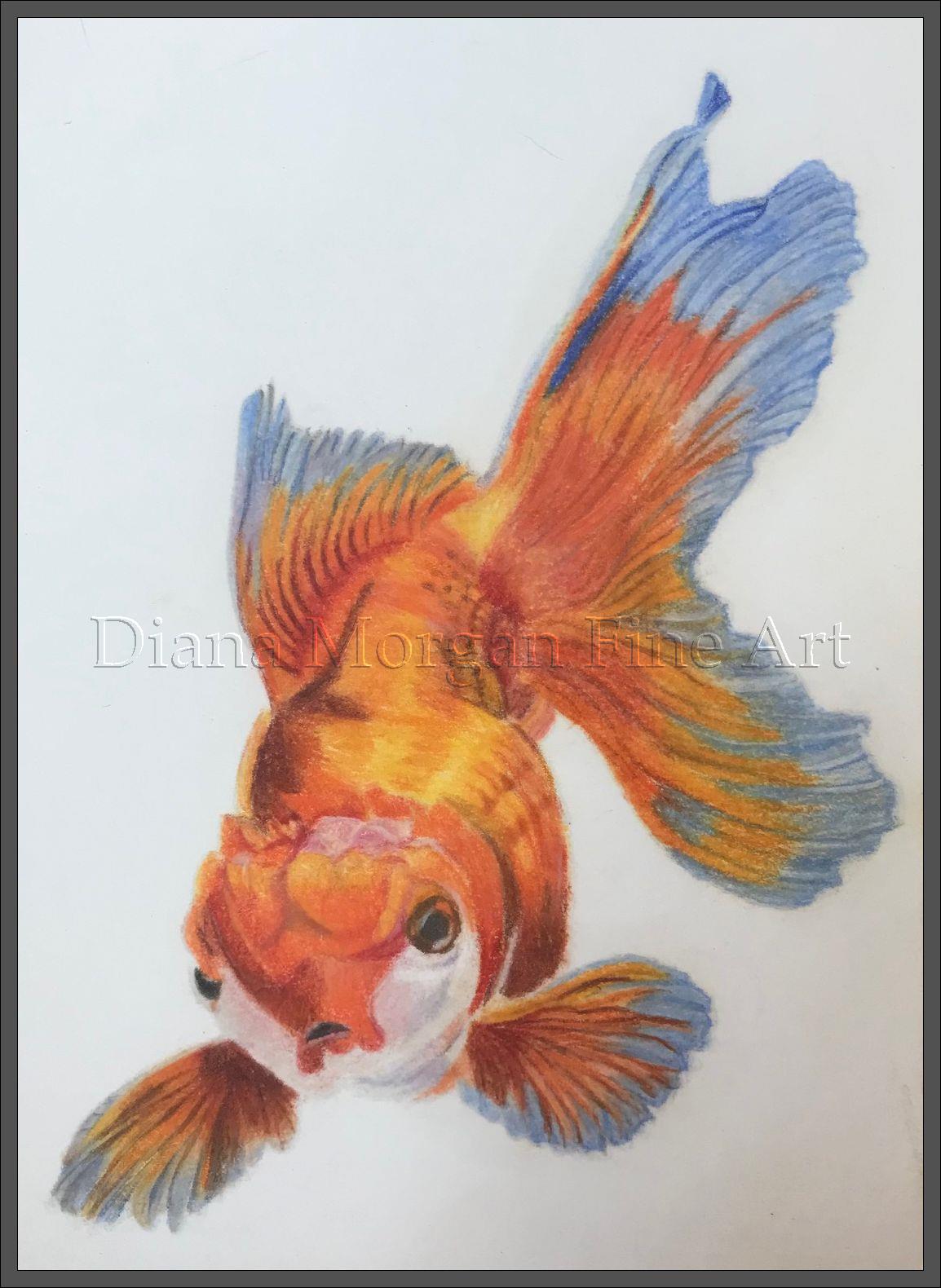 Goldfish
