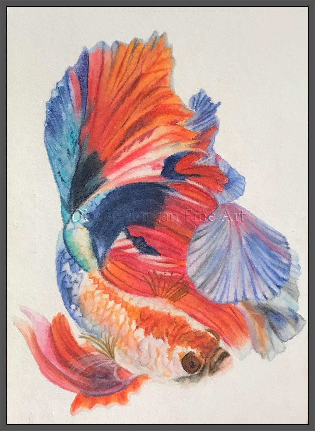 Colorful Koi Fish